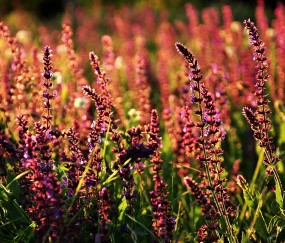 开云平台-伦纳德加时封神！76人鏖战力克雄鹿，关键先生一锤定音