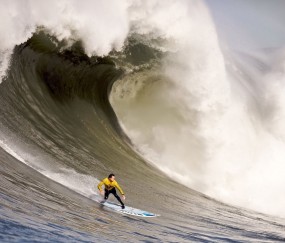 开云官方app入口-浙江队生死战逆袭篮网，西亚卡姆狂轰防线铸就传奇之战