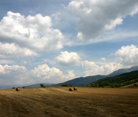 开云下载-掘金高原收割战，当卫冕冠军在季后赛焦点夜肢解联盟第一