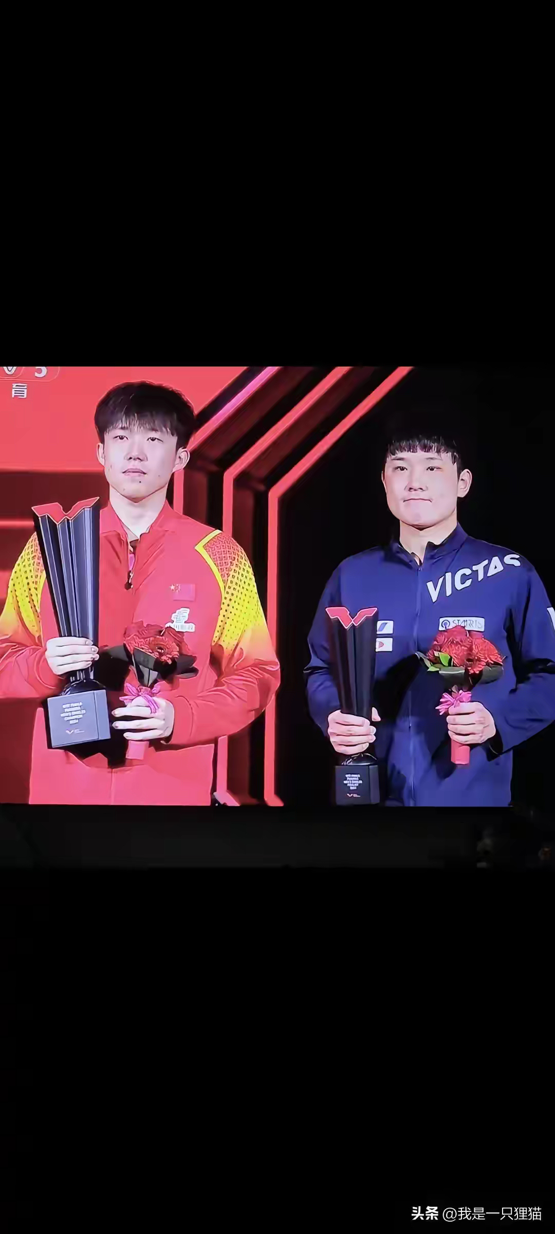 奥地利队横扫葡萄牙队，张本智和扛起全队