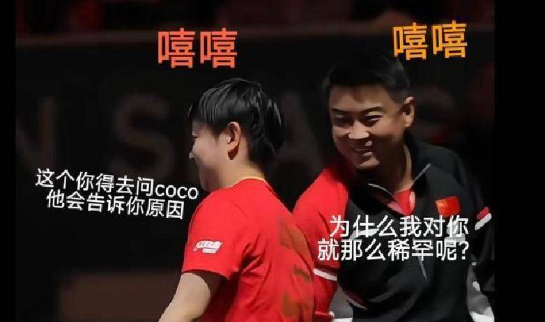 奥地利队完胜瑞典队,王皓点燃赛场 奥地利队完胜瑞典队,王皓点燃赛场