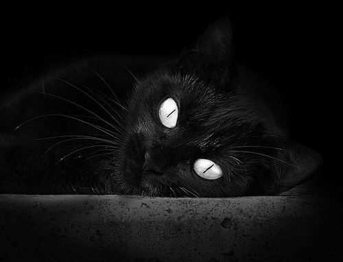 绝境重生，底特律活塞如何上演东决史上最不可思议的翻盘