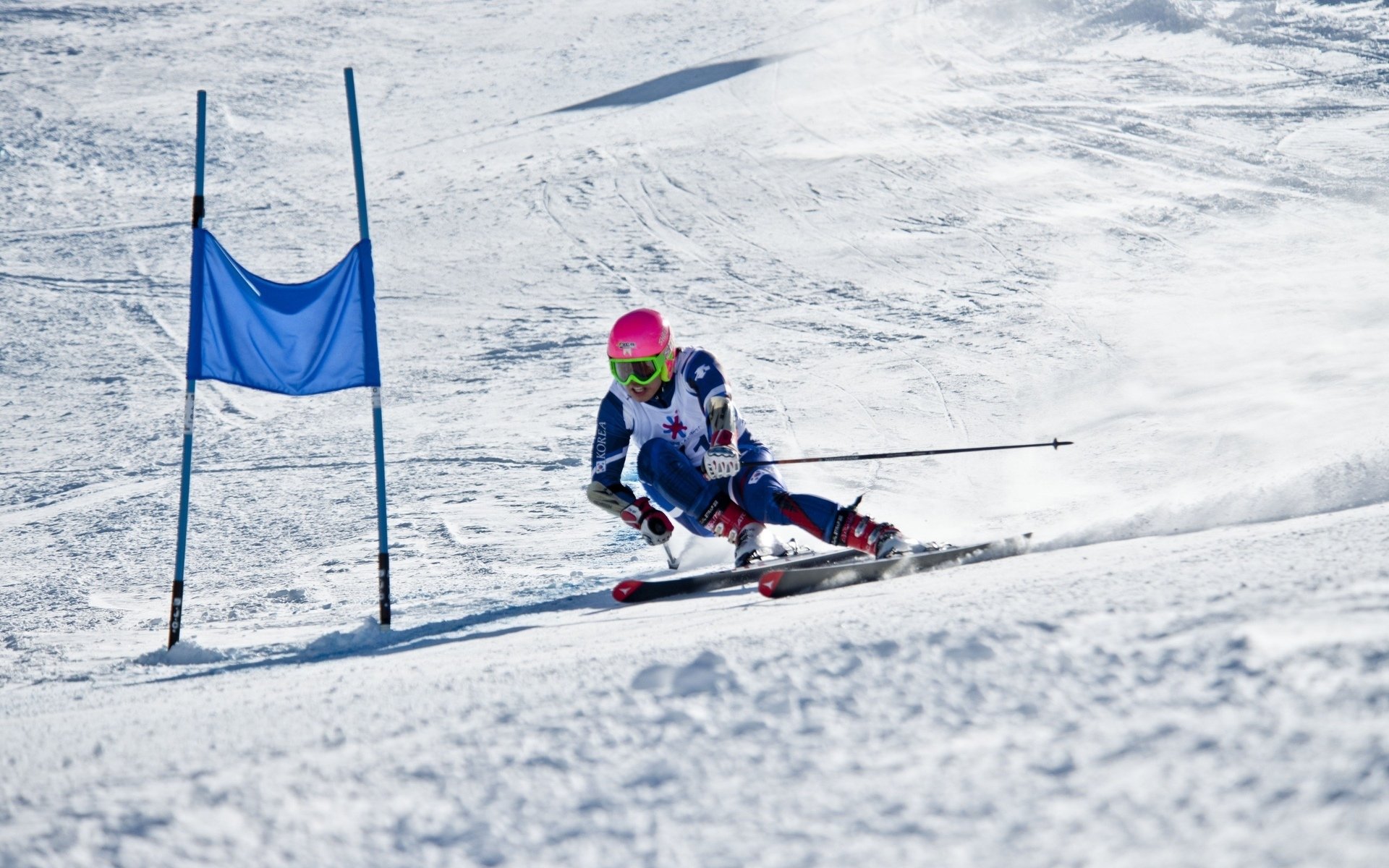 荣耀的复仇,2026世界杯,美国队以完美战术击溃印度,罗德里戈闪耀全场